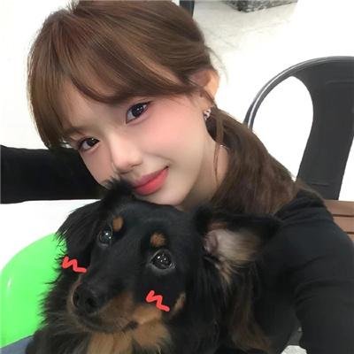 藏獒多吉